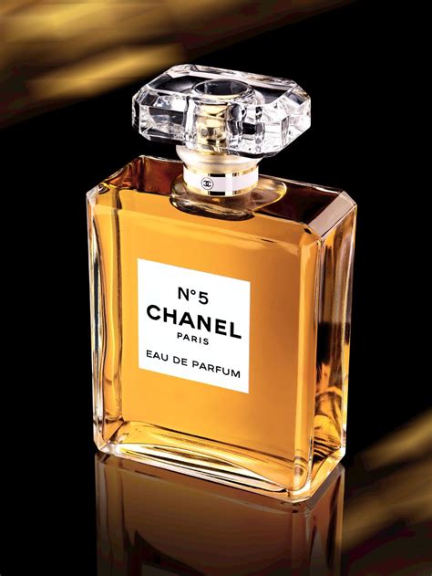 chanel perfumes femininos|todos perfumes Chanel feminino.